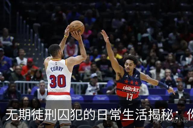 无期徒刑囚犯的日常生活揭秘：你所不知道的监狱一日